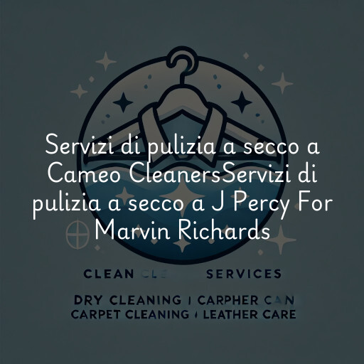 Servizi di pulizia a secco a