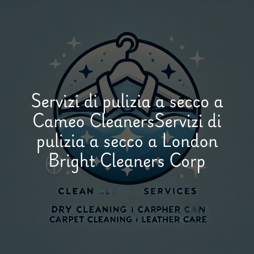 Servizi di pulizia a secco a