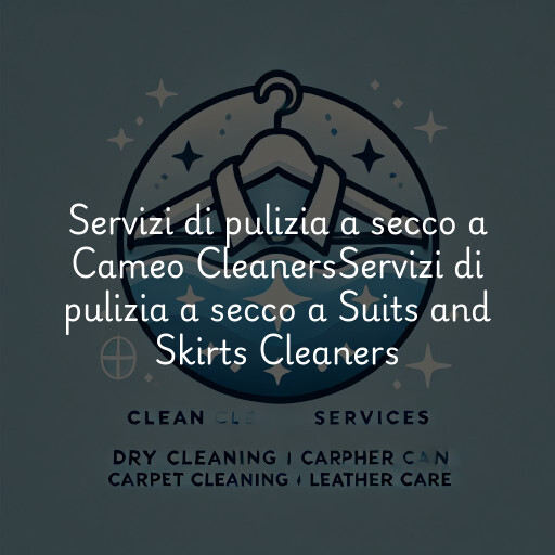 Servizi di pulizia a secco a