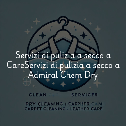 Servizi di pulizia a secco a