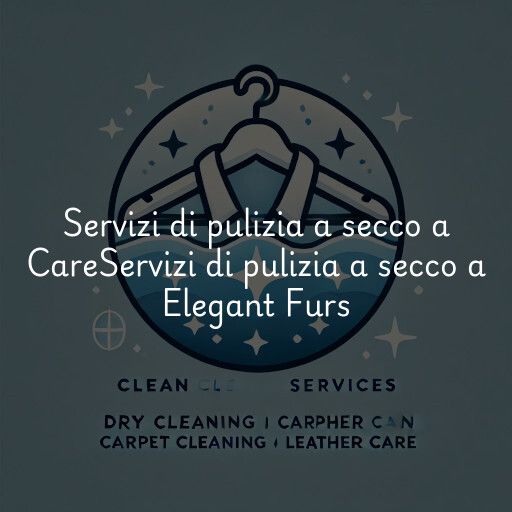 Servizi di pulizia a secco a