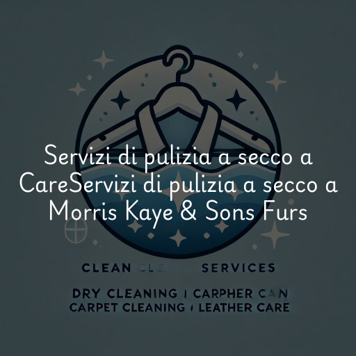 Servizi di pulizia a secco a