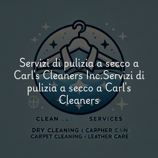 Servizi di pulizia a secco a