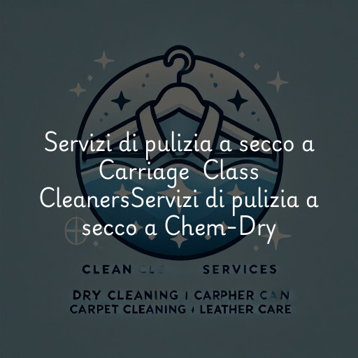Servizi di pulizia a secco a