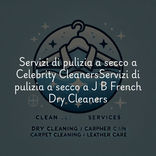 Servizi di pulizia a secco a
