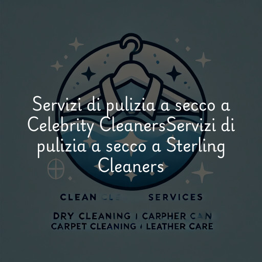 Servizi di pulizia a secco a