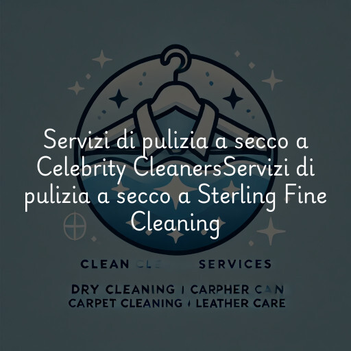 Servizi di pulizia a secco a