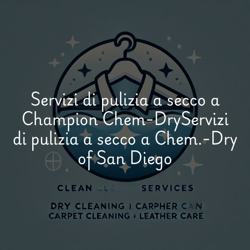 Servizi di pulizia a secco a