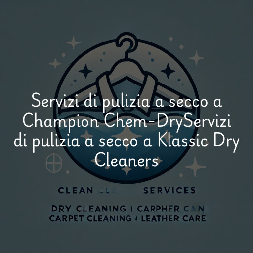 Servizi di pulizia a secco a