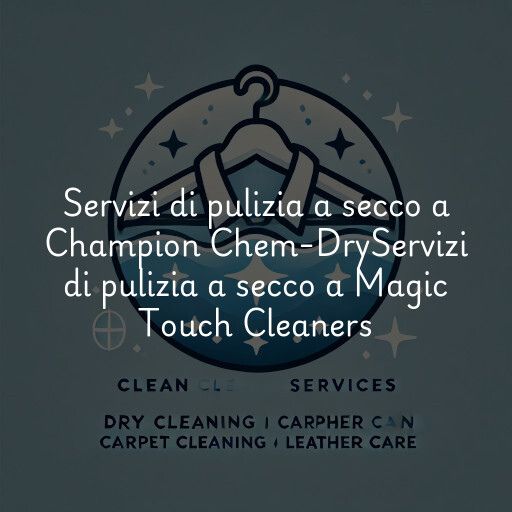 Servizi di pulizia a secco a