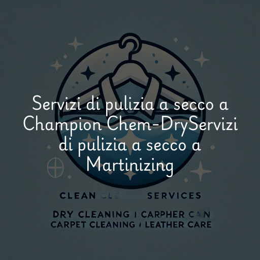 Servizi di pulizia a secco a