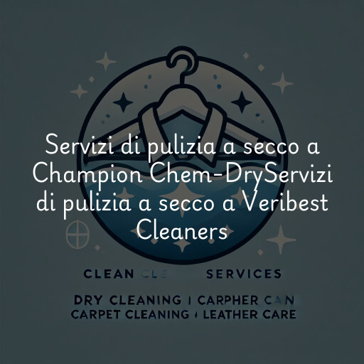 Servizi di pulizia a secco a