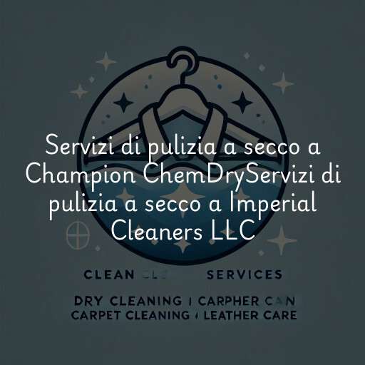 Servizi di pulizia a secco a