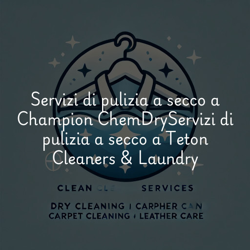 Servizi di pulizia a secco a