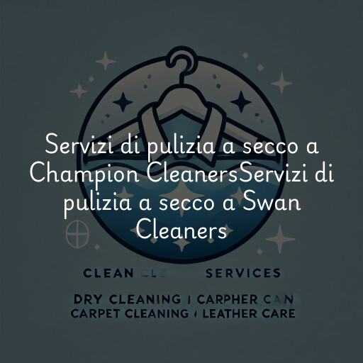 Servizi di pulizia a secco a