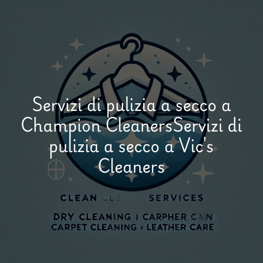 Servizi di pulizia a secco a