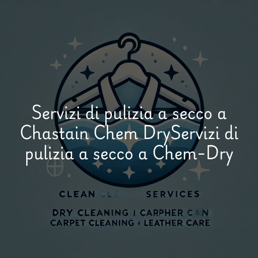 Servizi di pulizia a secco a