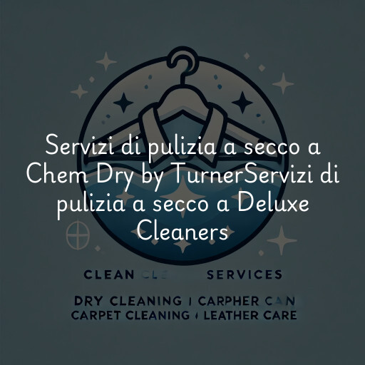 Servizi di pulizia a secco a