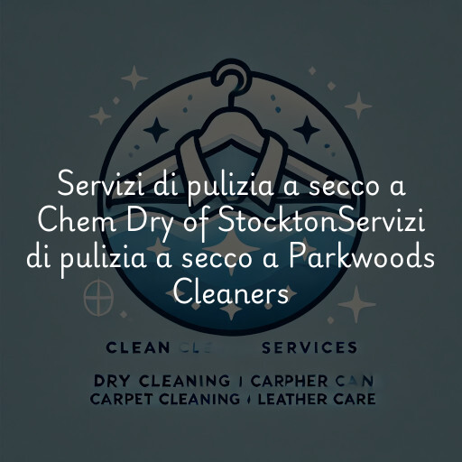 Servizi di pulizia a secco a