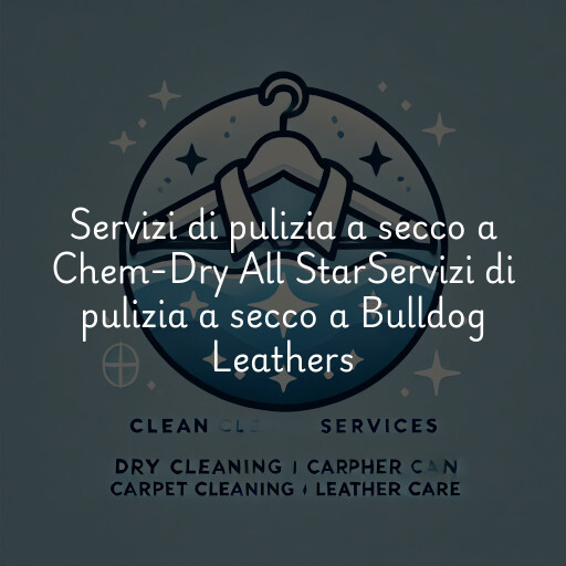 Servizi di pulizia a secco a