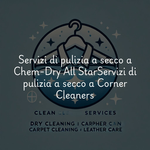 Servizi di pulizia a secco a