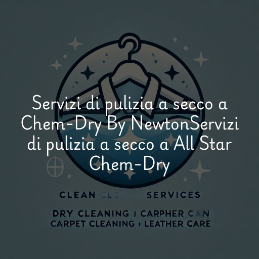 Servizi di pulizia a secco a