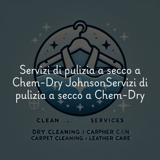 Servizi di pulizia a secco a