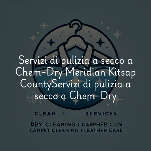 Servizi di pulizia a secco a
