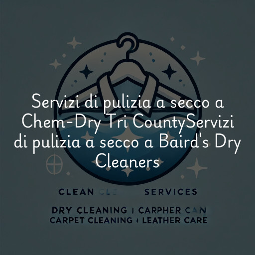 Servizi di pulizia a secco a