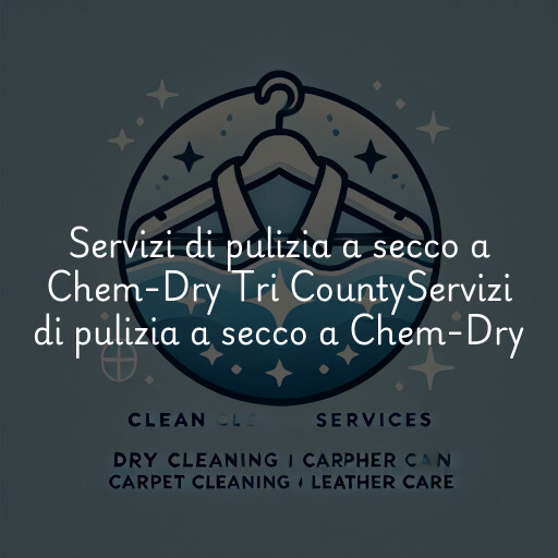 Servizi di pulizia a secco a
