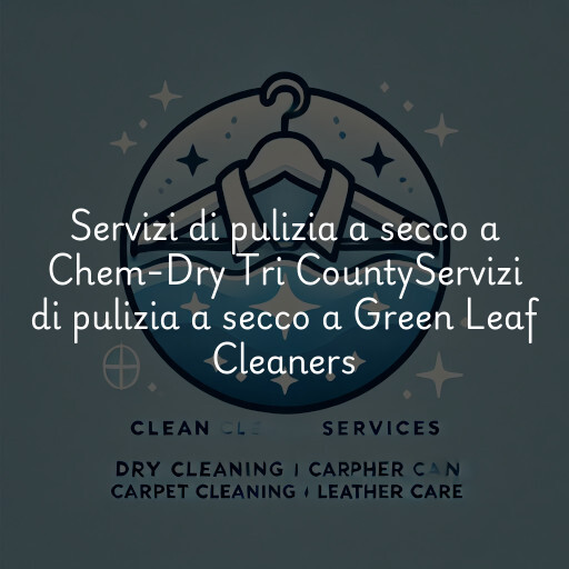 Servizi di pulizia a secco a