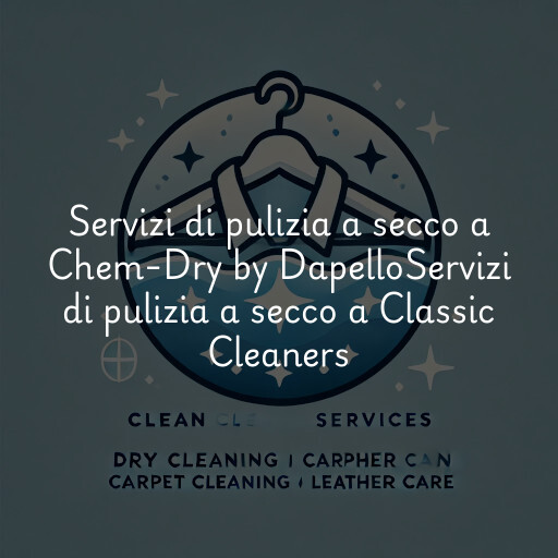 Servizi di pulizia a secco a