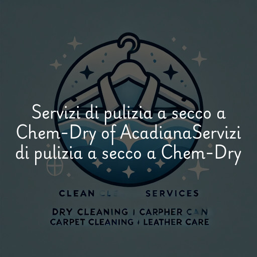 Servizi di pulizia a secco a
