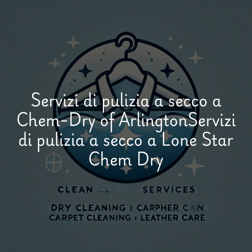 Servizi di pulizia a secco a