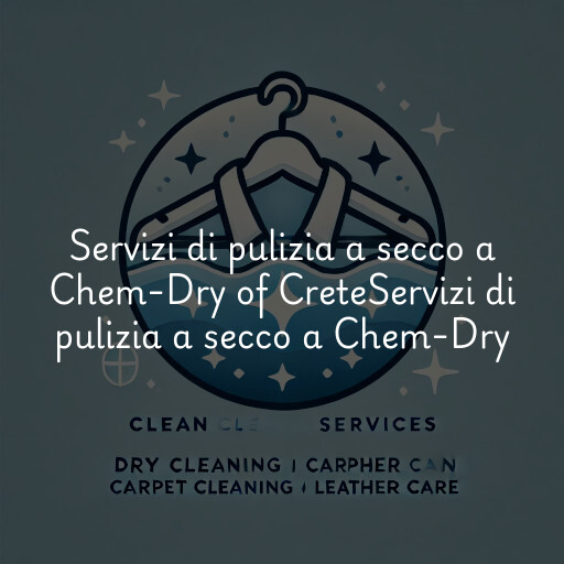 Servizi di pulizia a secco a