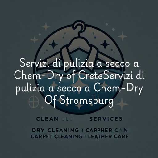 Servizi di pulizia a secco a