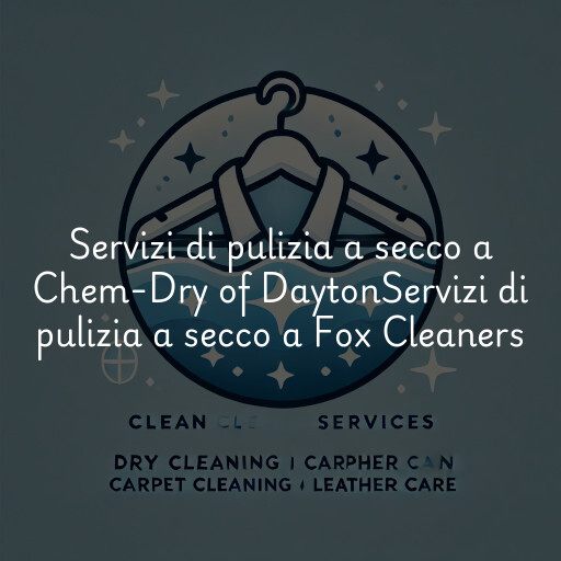 Servizi di pulizia a secco a