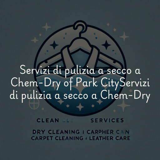 Servizi di pulizia a secco a