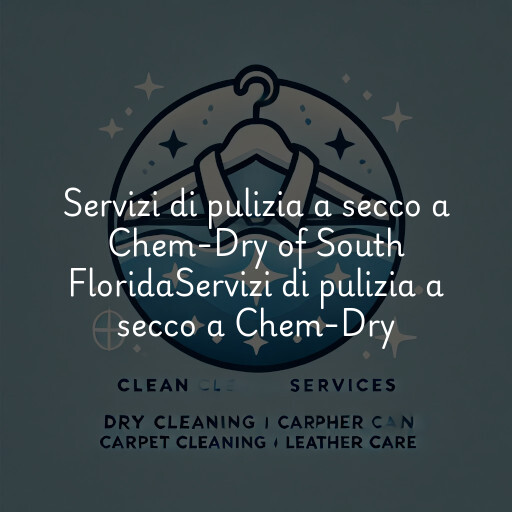 Servizi di pulizia a secco a