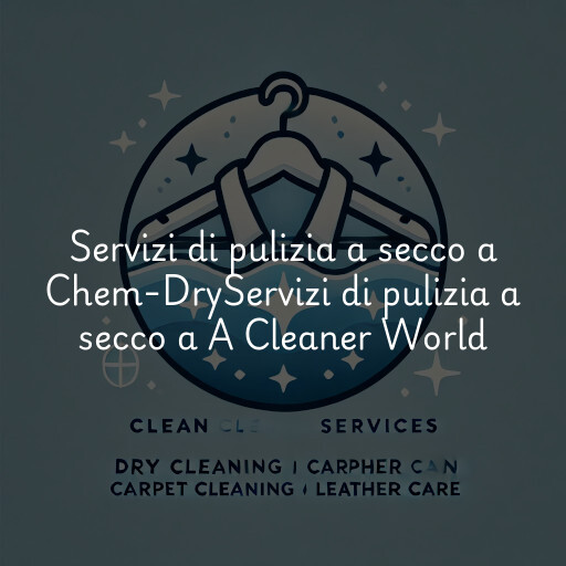 Servizi di pulizia a secco a