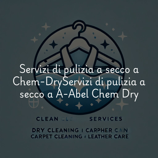 Servizi di pulizia a secco a