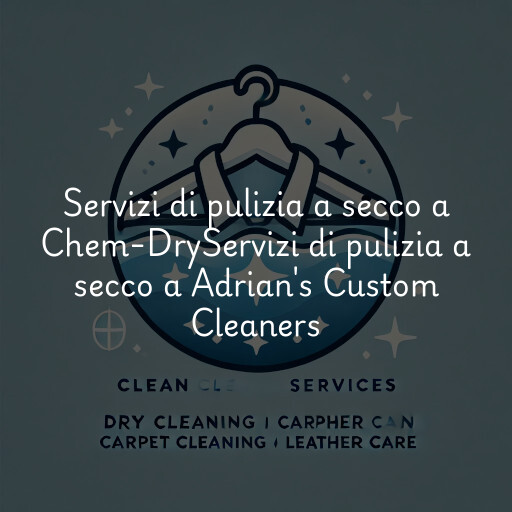 Servizi di pulizia a secco a