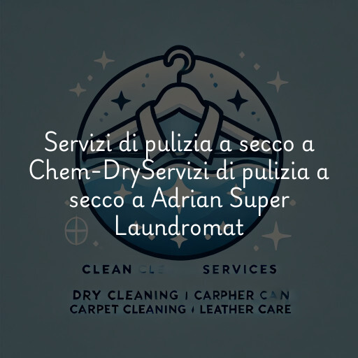 Servizi di pulizia a secco a