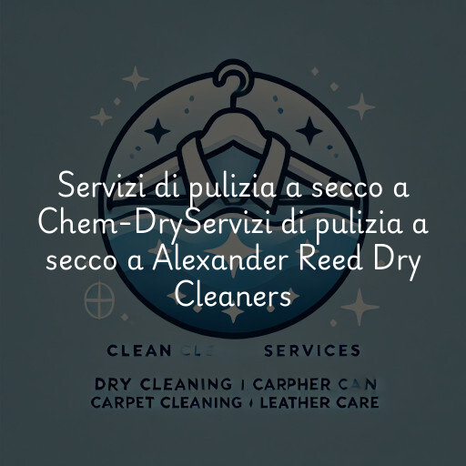 Servizi di pulizia a secco a