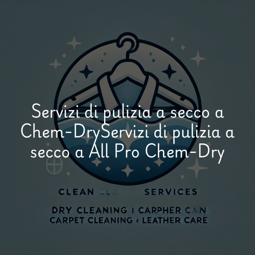 Servizi di pulizia a secco a