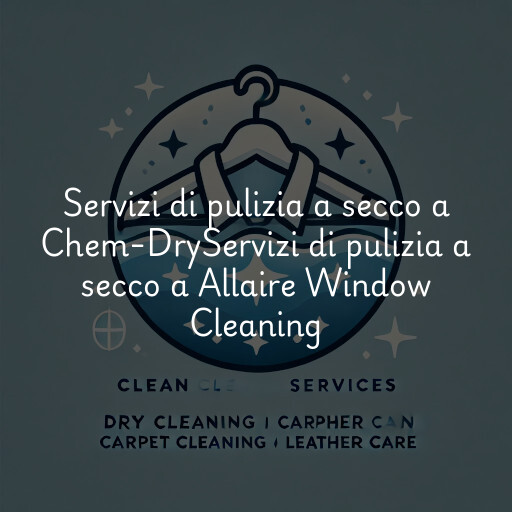Servizi di pulizia a secco a