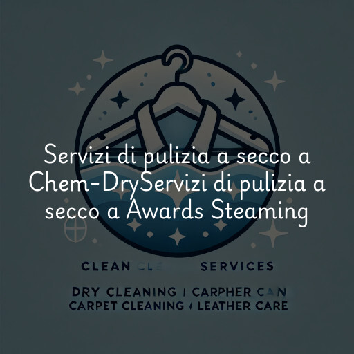 Servizi di pulizia a secco a