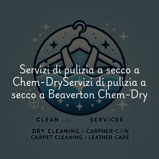 Servizi di pulizia a secco a
