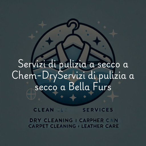 Servizi di pulizia a secco a