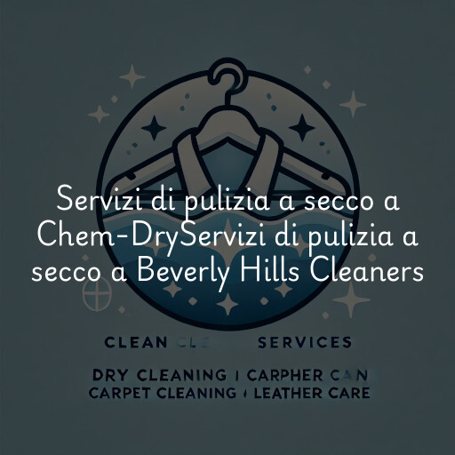 Servizi di pulizia a secco a